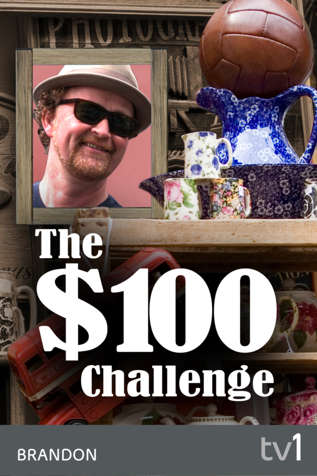 The $100 Challenge - Poster